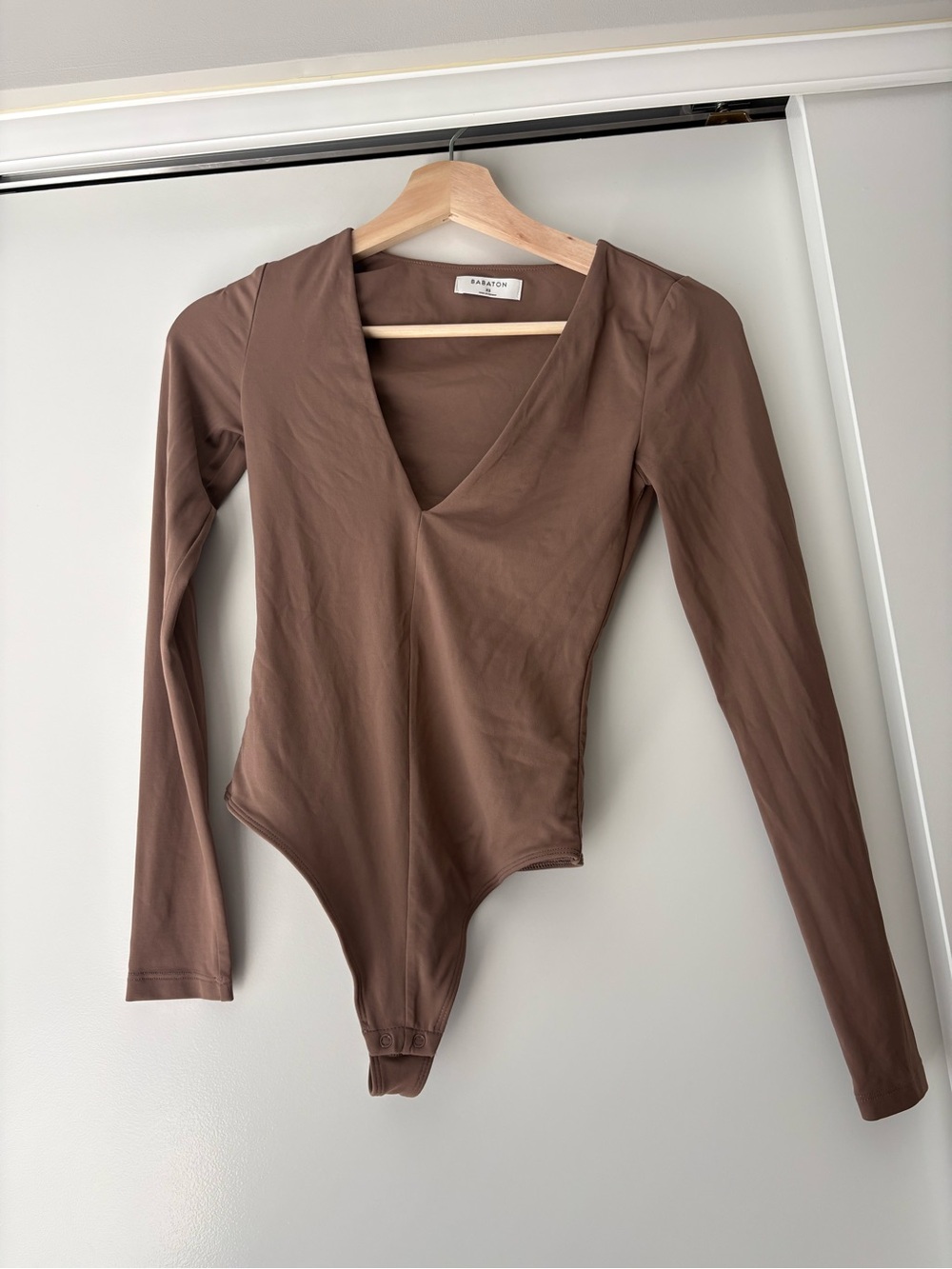 Aritzia Babaton Long-Sleeve V-Neck Bodysuit